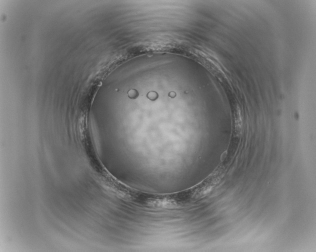 X0000075830503200609291425