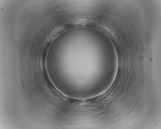 X0000075830504200609291425