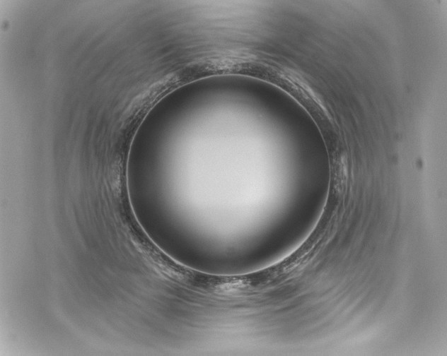 X0000075830505200609291425