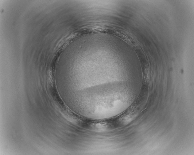 X0000075830506200609291425