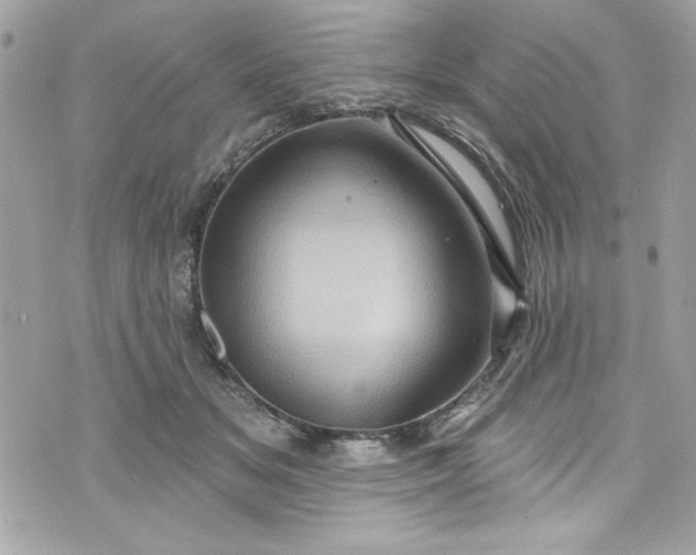 X0000075830509200609291425