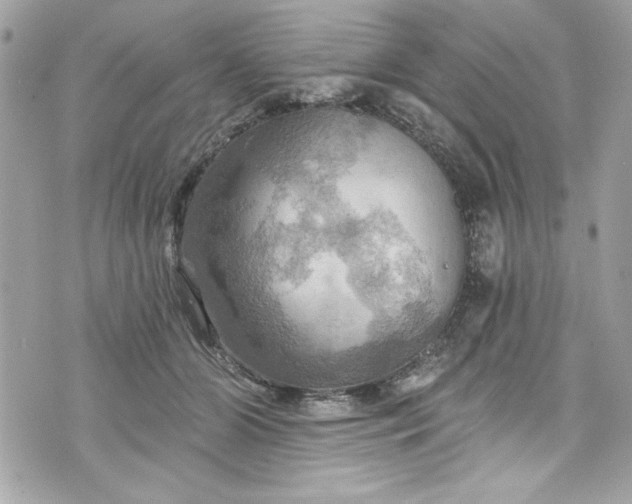 X0000075830510200609291425