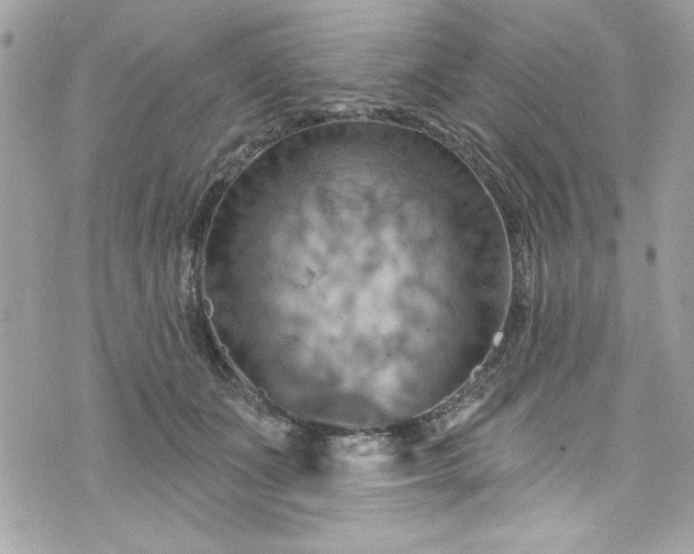 X0000075830511200609291425