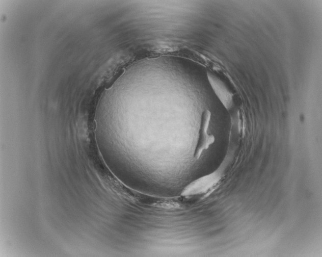 X0000075830512200609291425