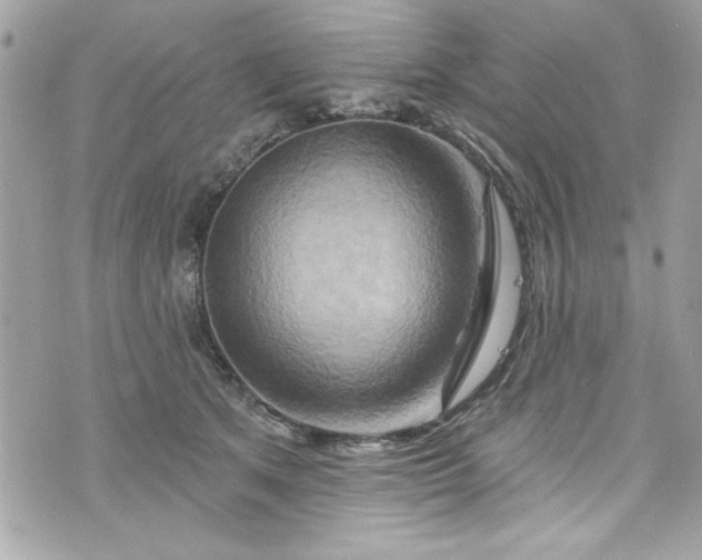 X0000075830513200609291425