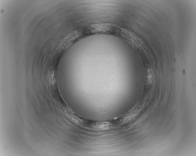 X0000075830514200609291425