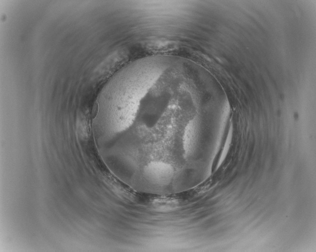 X0000075830515200609291425