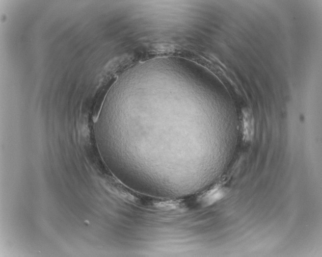 X0000075830516200609291425