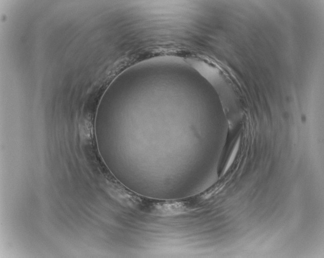 X0000075830517200609291425