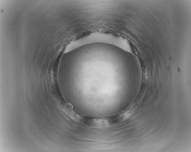 X0000075830520200609291425