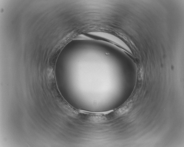 X0000075830521200609291425