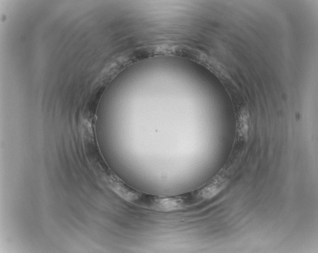 X0000075830522200609291425