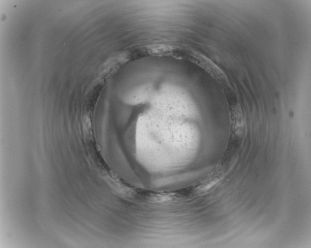 X0000075830523200609291425