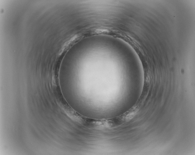 X0000075830524200609291425