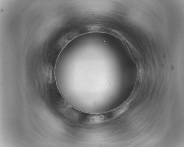 X0000075830525200609291425