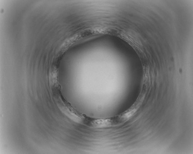 X0000075830526200609291425