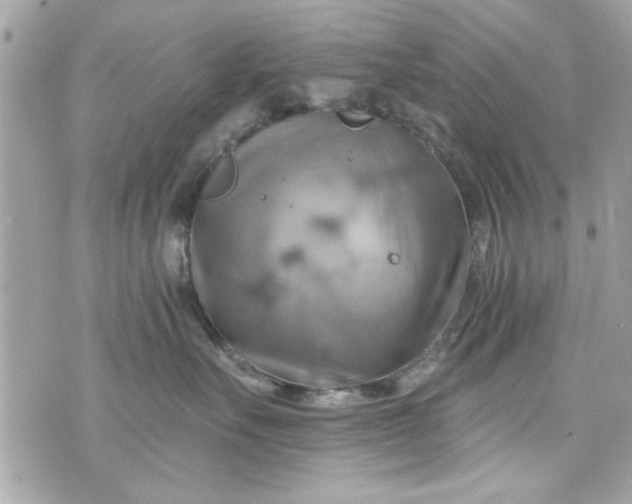 X0000075830527200609291425