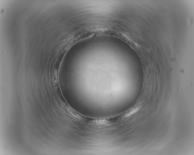 X0000075830528200609291425