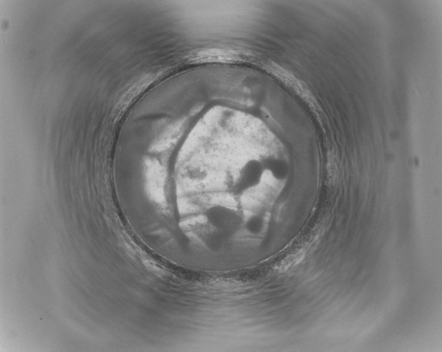 X0000075830529200609291424