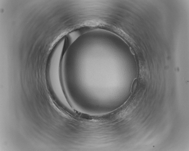 X0000075830530200609291424