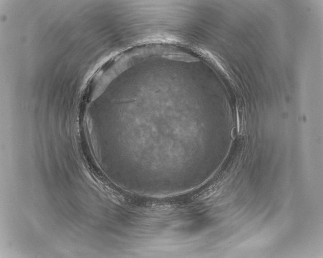 X0000075830531200609291424