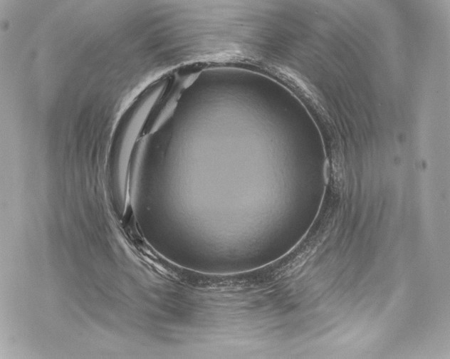 X0000075830532200609291424