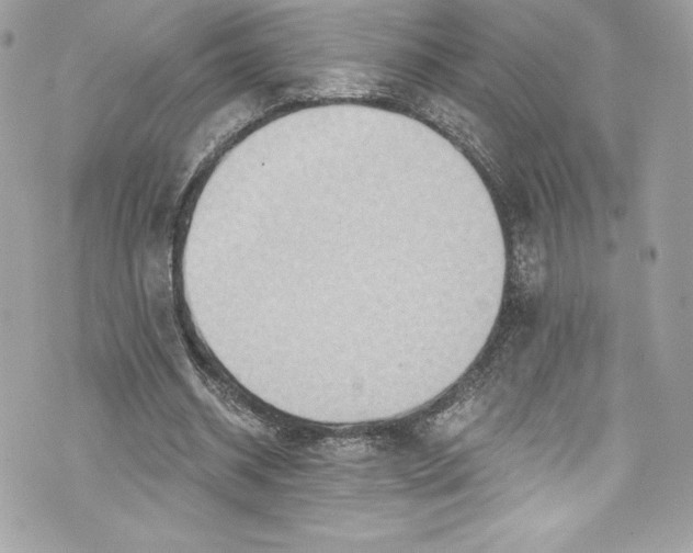 X0000075830534200609291424