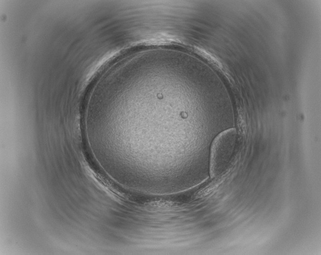 X0000075830535200609291424