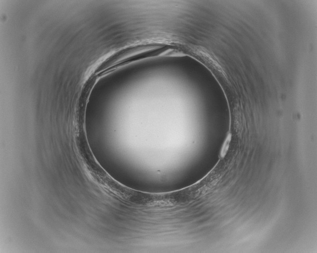 X0000075830536200609291424