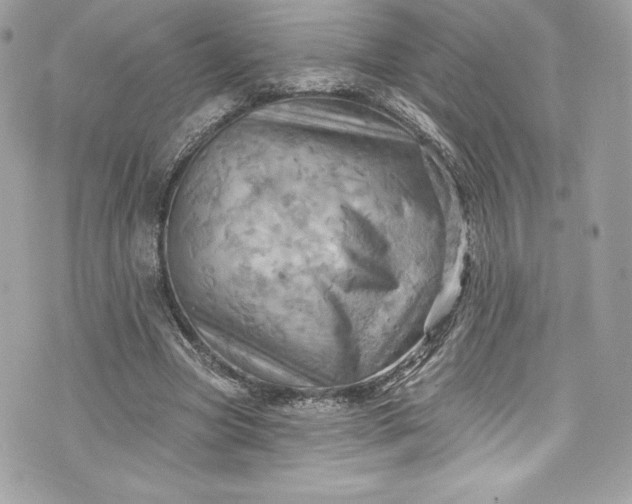 X0000075830537200609291424