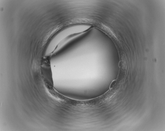 X0000075830538200609291424