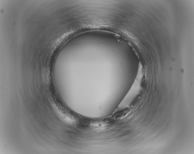 X0000075830540200609291424