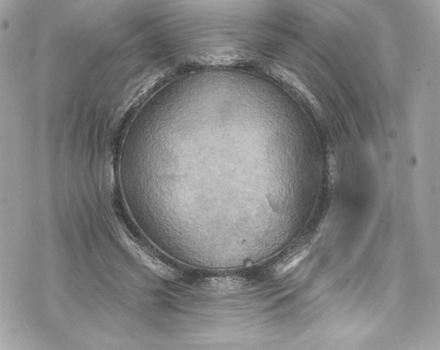 X0000075830541200609291424