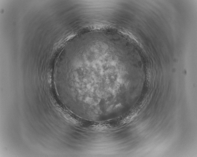 X0000075830545200609291424