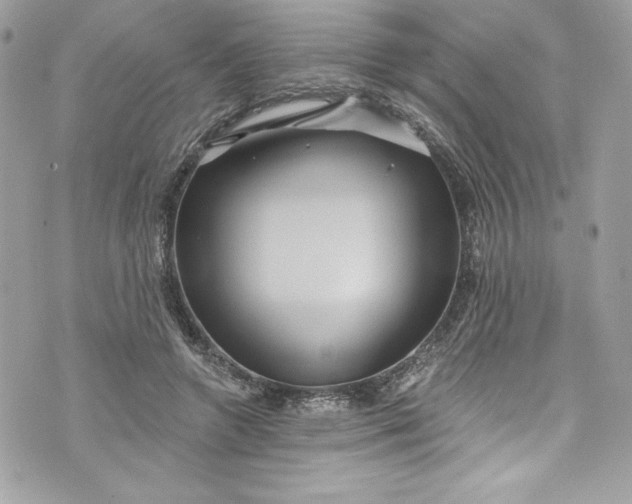 X0000075830546200609291424