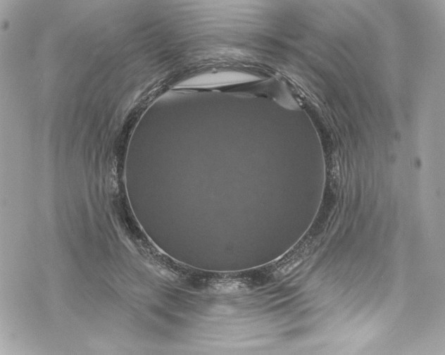 X0000075830547200609291424