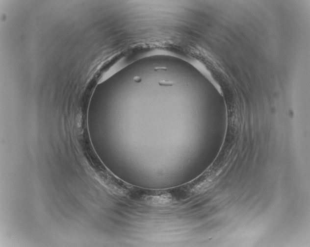 X0000075830548200609291424