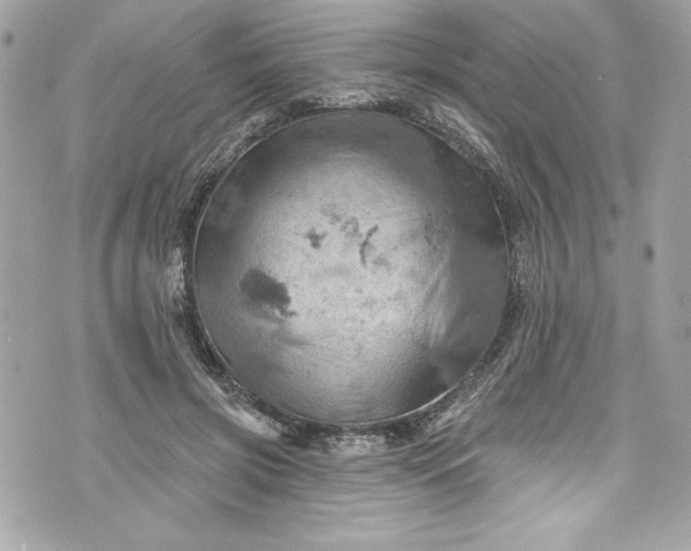 X0000075830549200609291424