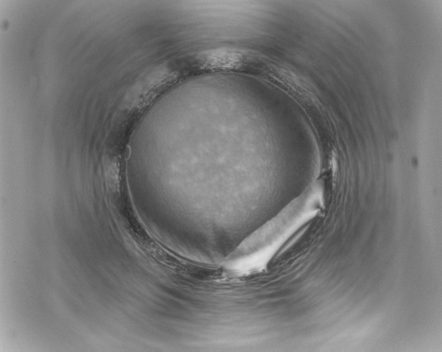 X0000075830551200609291424