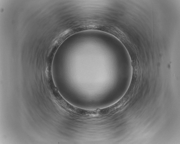 X0000075830552200609291424