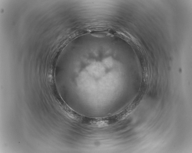 X0000075830553200609291424