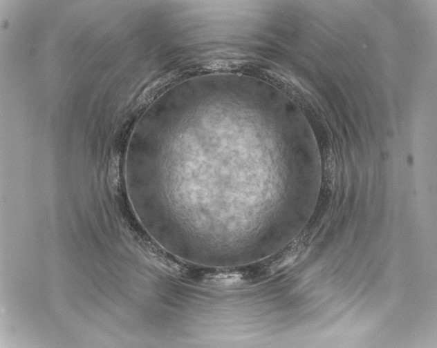 X0000075830554200609291425