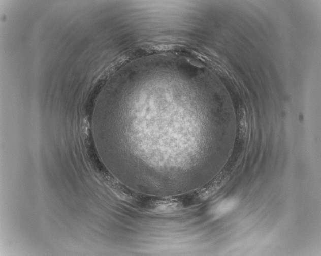 X0000075830555200609291425