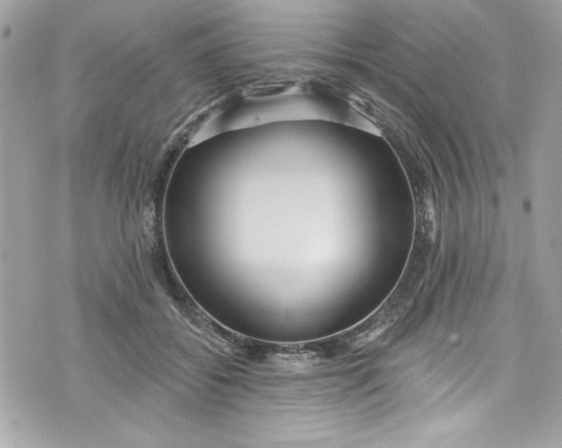 X0000075830556200609291425