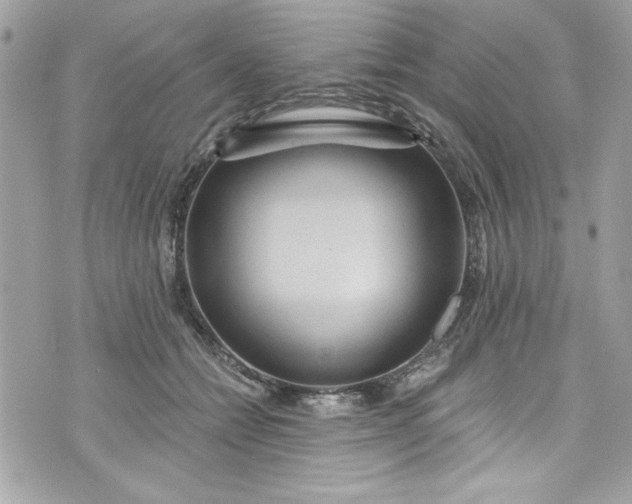 X0000075830558200609291425