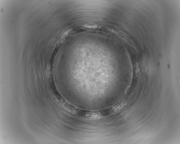 X0000075830559200609291425