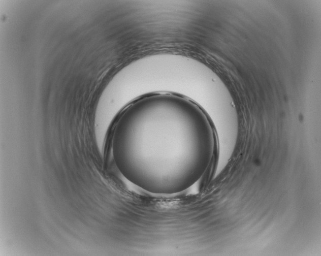 X0000075830560200609291425