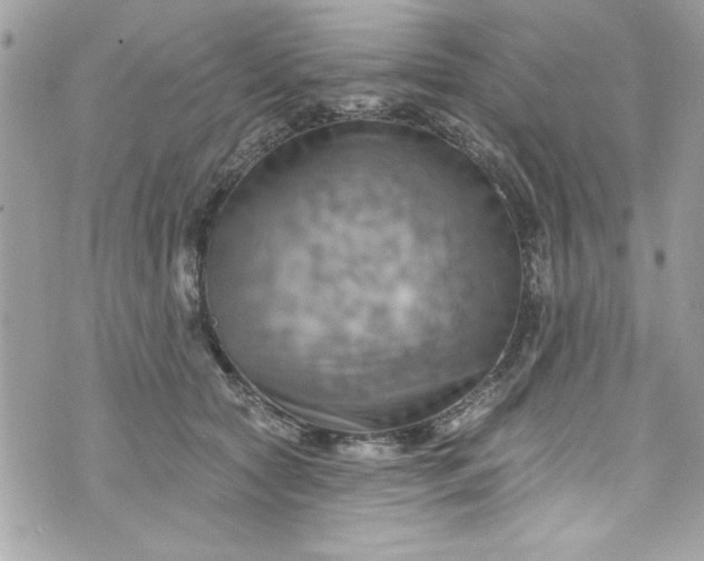 X0000075830561200609291425