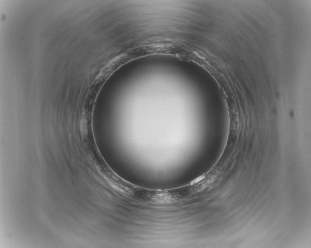 X0000075830562200609291425