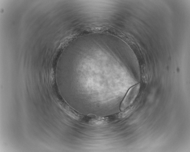 X0000075830563200609291425